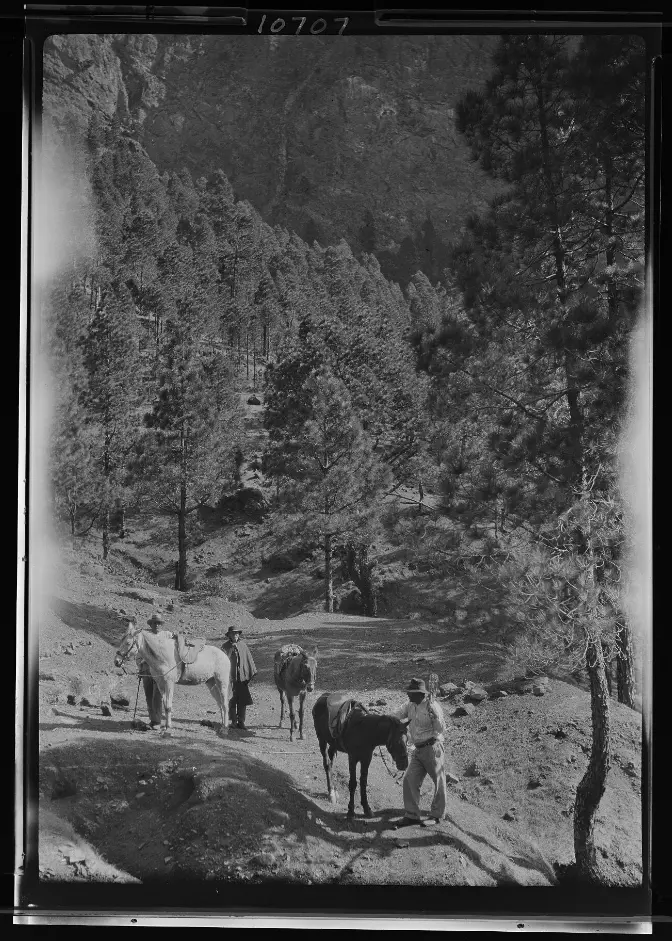 Leñadores en La Cumbrecita. 